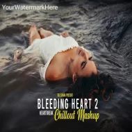 Bleeding Heart 2 Mashup 2024 ( Vdj Shana Mashup )