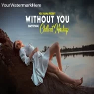 Without You Mashup 2024 ( Vdj Shana Mashup )