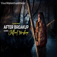 After Breakup Mashup 2024 ( Vdj Shana Mashup )