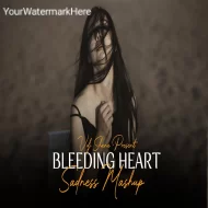 Bleeding Heart Mashup 2025 ( Vdj Shana Mashup )