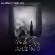 Heartly Crying Mashup 2025 ( Vdj Shana Mashup )