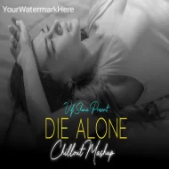 Die Alone Chillout Mashup ( Vdj Shana Mashup )