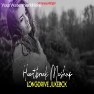 Heartbreak Mashup 2025 ( Vdj Shana Mashup )  Long Drive