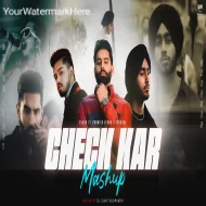 Check Kar X Cheques Mashup - DJ Sumit Rajwanshi