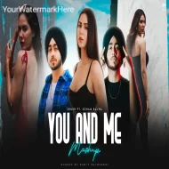 You And Me - Mashup - DJ Sumit Rajwanshi