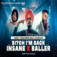 Btch I m Back X Insane X Baller - Mashup - DJ Sumit Rajwanshi 