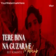 Tere Bina Na Guzara E - Mashup by Lo-fi 2307