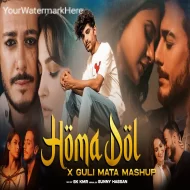 Homa Dol X Guli Mata - Feel Mashup