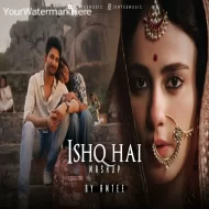 Ishq Hai Mashup by Amtee