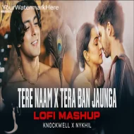 Tere Naam x Tera Ban Jaunga (LoFi Mashup) Knockwell x NYKHIL