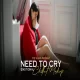 Need To Cry Mashup 2024 ( Vdj Shana Mashup )