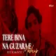 Tere Bina Na Guzara E - Mashup by Lo-fi 2307