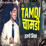 Tambdi Chamdi - DJ Rohit RD Remix