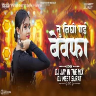 Tu Nighi Gai Bewafa - DJ Meet Surat X DJ Jay