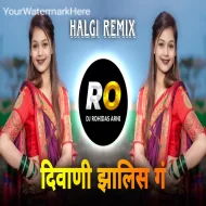 Diwani Zalis Ga Pori Vayat Alis G - DJ Song (Remix) Halgi Mix