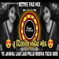 Tu Disaya Layach God Dj Song Ye Javal Lad Lad Pillu - Dj Satish In The Mix