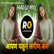 Aapun Palun Lagn Karu DJ Song (Remix)