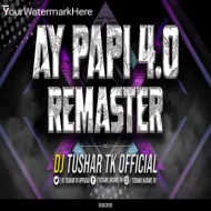 AYE PAPI 4.0 (REMASTER) DJ TUSHAR TK