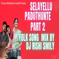 SELAYELLU  PADUTHUNTE  PART 2 - MIX BY - DJ RISHISMILY