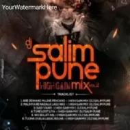 SADI VAARI FULL (HIGH GAIN) DJ SALIM PUNE