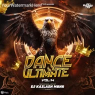 DANCE ULTIMATE VOL 14 - DJ KAILASH MBNR - ALBUM